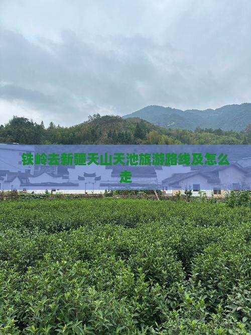 铁岭去新疆天山天池旅游