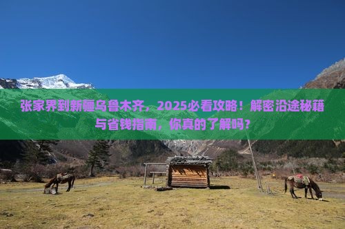 张家界到新疆乌鲁木齐哪里玩