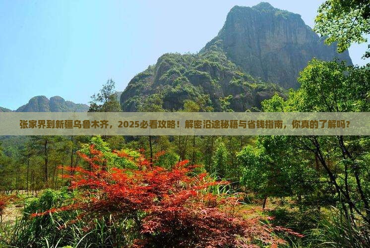 张家界到新疆乌鲁木齐哪里玩