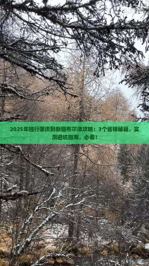 肇庆到新疆布尔津攻略