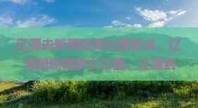 辽源去新疆独库公路景点