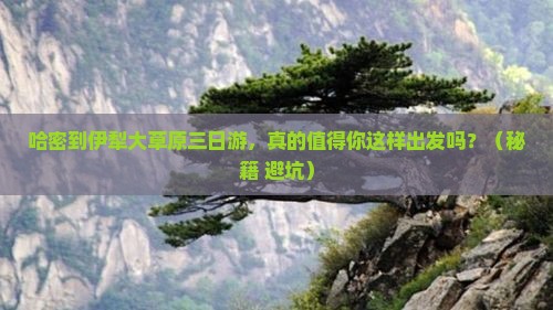 哈密到新疆伊犁大草原三日游