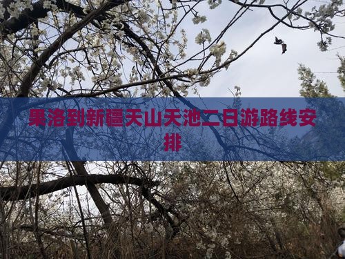 果洛到新疆天山天池二日游