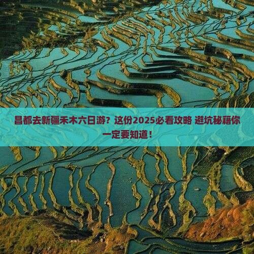 昌都去新疆禾木六日游
