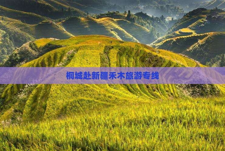 桐城去新疆禾木旅行社
