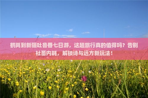 鹤岗到新疆吐鲁番七日游