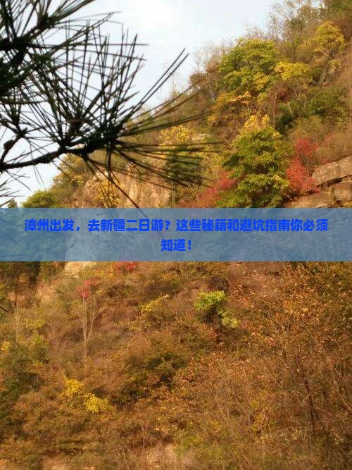 漳州到新疆二日游