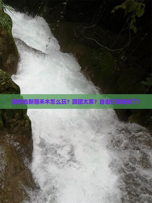 随州去新疆禾木旅行社
