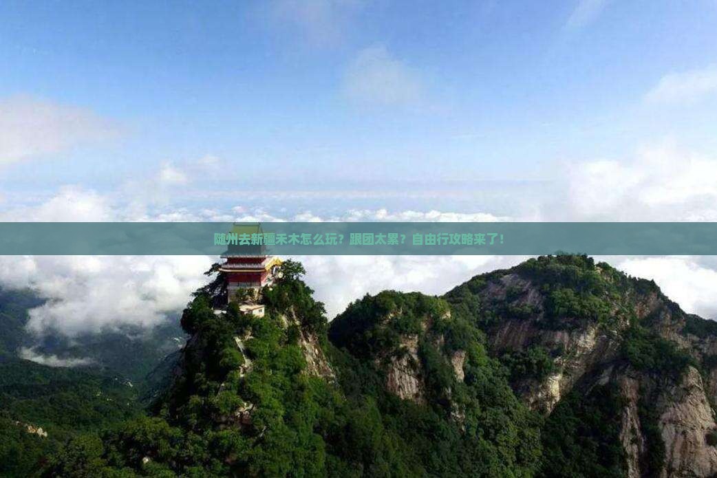 随州去新疆禾木旅行社