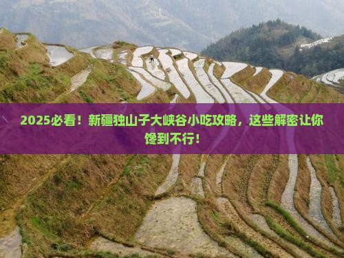 一月到新疆独山子大峡谷旅游小吃