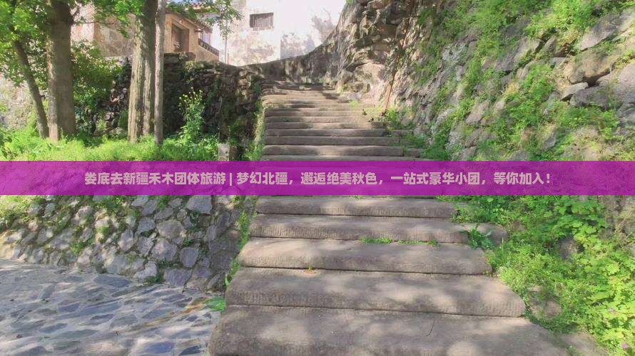 娄底去新疆禾木团体旅游