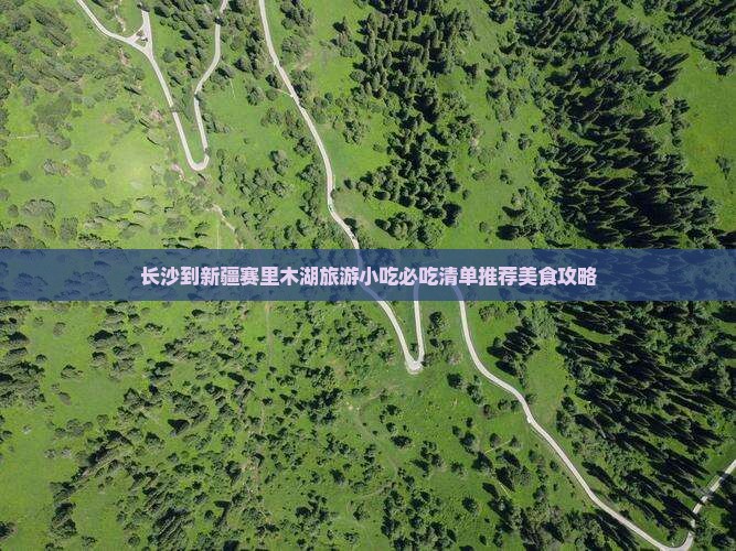 长沙到新疆赛里木湖旅游小吃