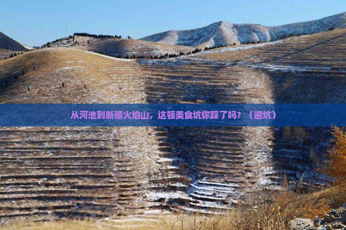 河池去新疆火焰山旅游小吃