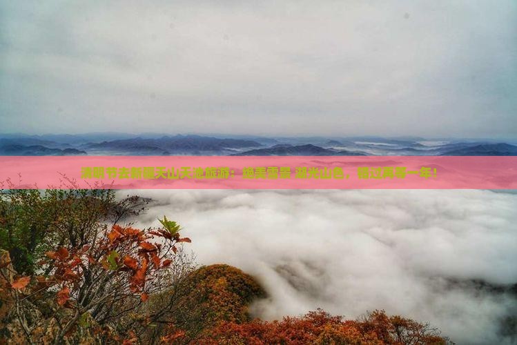 清明节去新疆天山天池旅游