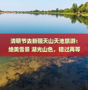 清明节去新疆天山天池旅游