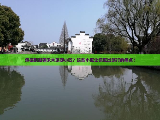 承德到新疆禾木旅游小吃