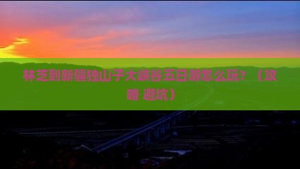 林芝到新疆独山子大峡谷五日游