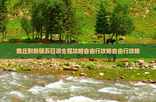 商丘到新疆五日游