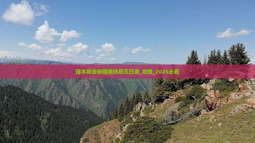佳木斯去新疆喀纳斯五日游
