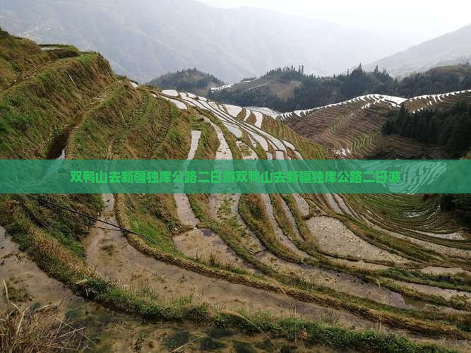 双鸭山去新疆独库公路二日游