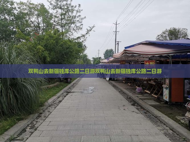 双鸭山去新疆独库公路二日游