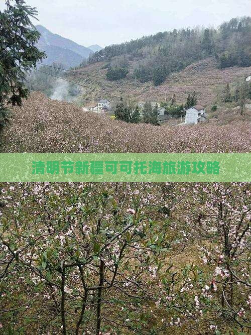 清明节到新疆可可托海个人游