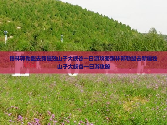 锡林郭勒盟去新疆独山子大峡谷一日
