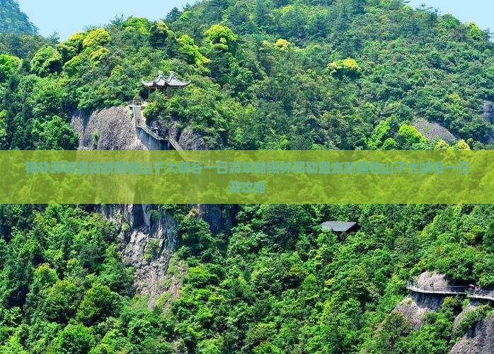 锡林郭勒盟去新疆独山子大峡谷一日