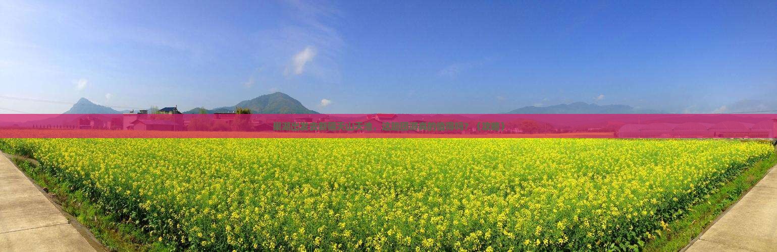 巢湖到新疆天山天池团体旅游