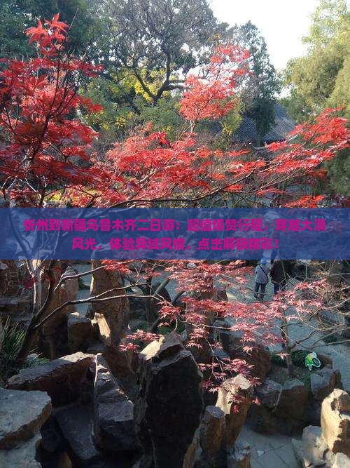 忻州到新疆乌鲁木齐二日游