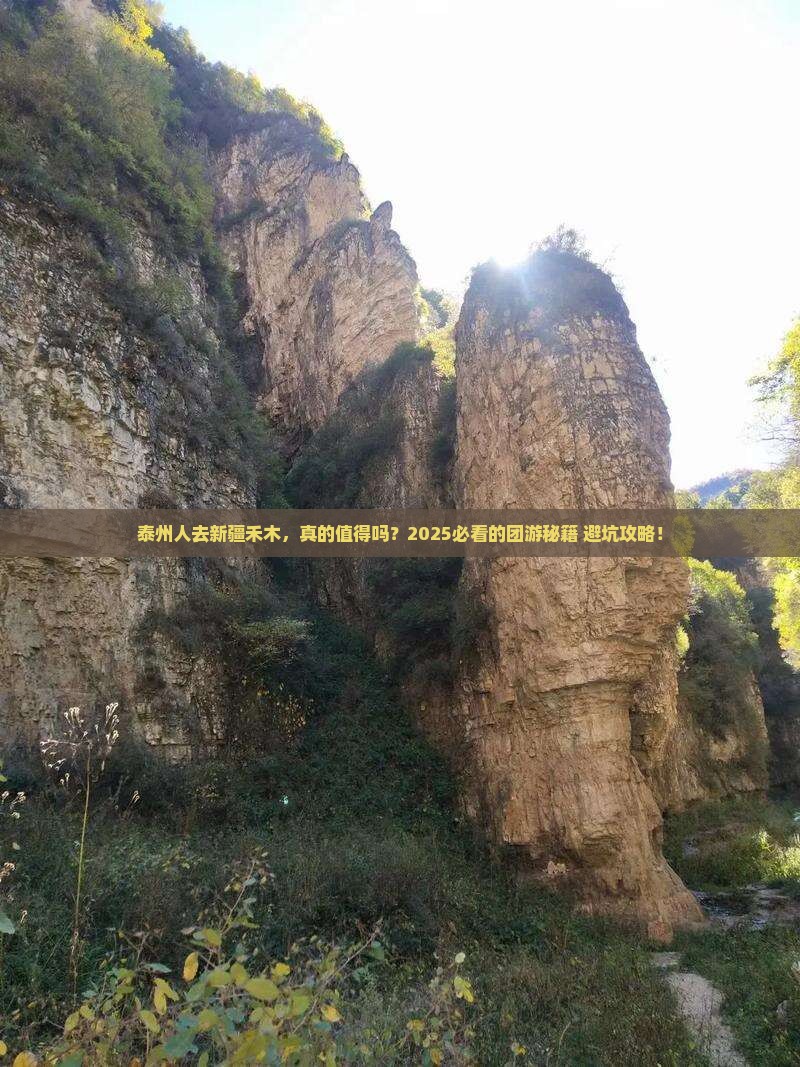 泰州去新疆禾木团体旅游 泰州去新疆禾木团体旅游