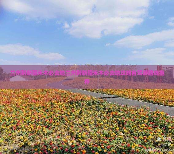 兰州到新疆禾木必去地