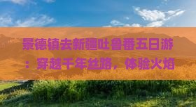 景德镇去新疆吐鲁番五日游