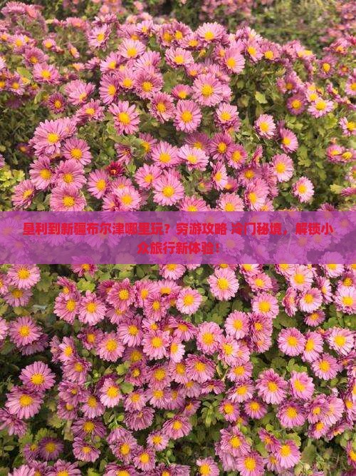 垦利到新疆布尔津哪里玩