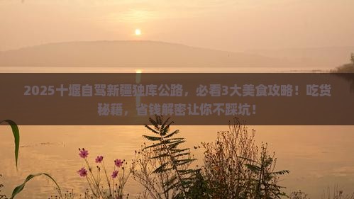 十堰到新疆独库公路旅游小吃