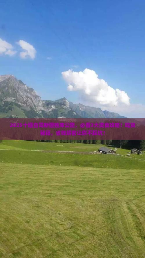 十堰到新疆独库公路旅游小吃