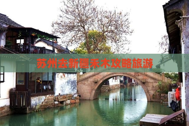 苏州去新疆禾木景点