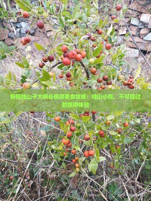 淮北到新疆独山子大峡谷旅游小吃