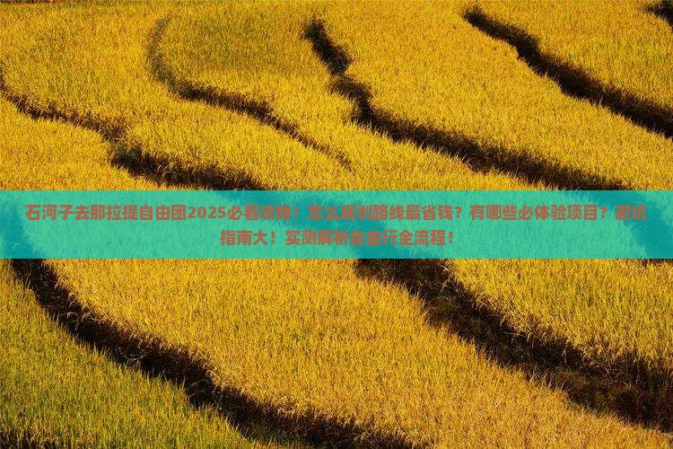 石河子去新疆那拉提自由团