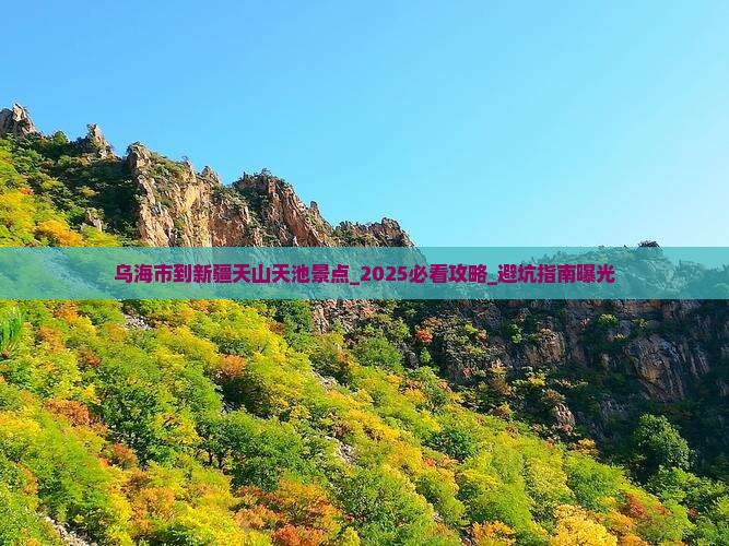 乌海市到新疆天山天池景点