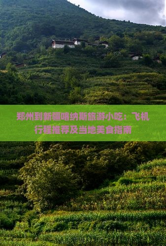 郑州到新疆喀纳斯旅游小吃