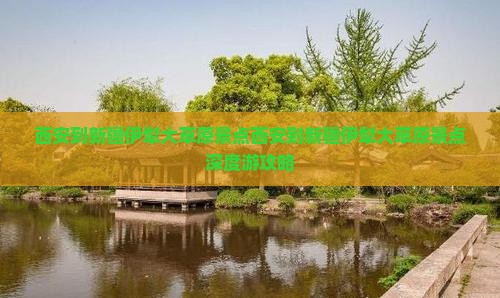 西安到新疆伊犁大草原景点
