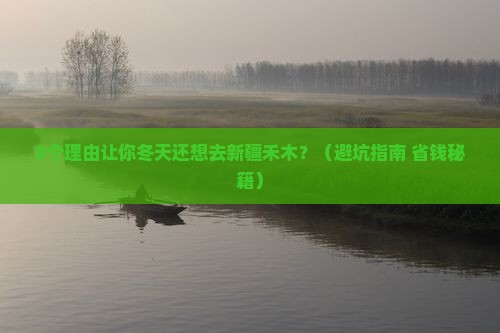 冬天去新疆禾木自由团