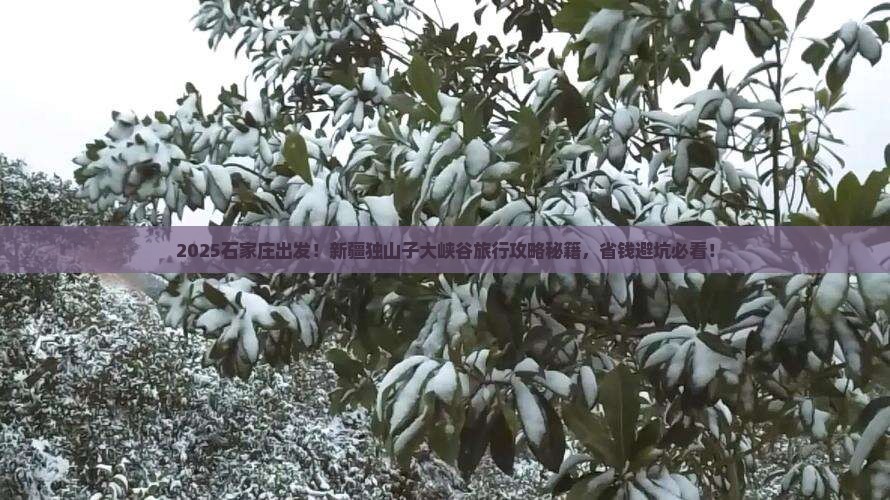 石家庄去新疆独山子大峡谷旅行社