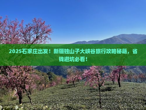 石家庄去新疆独山子大峡谷旅行社