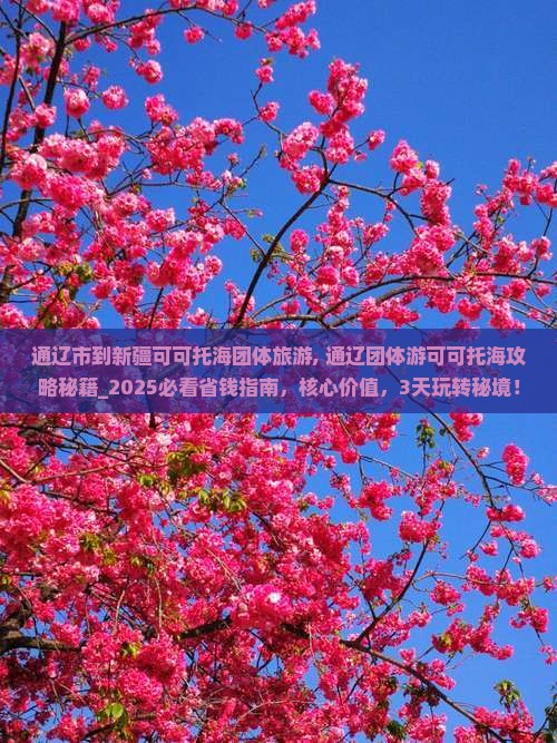 通辽市到新疆可可托海团体旅游