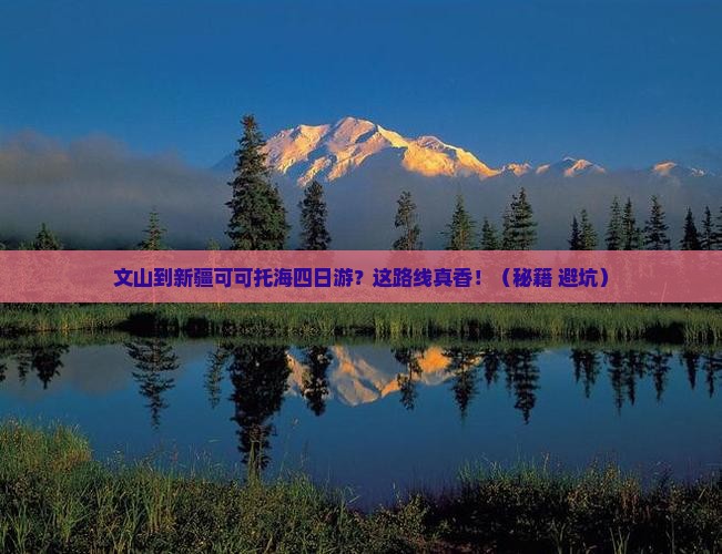文山到新疆可可托海四日游