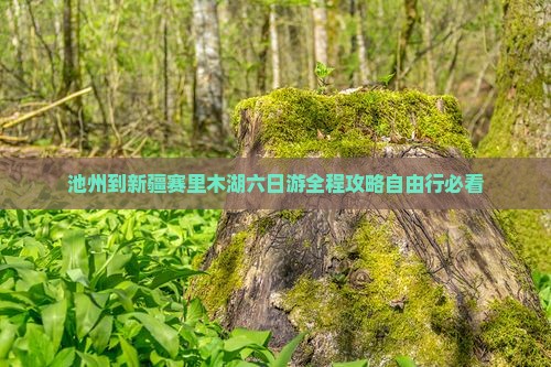 池州到新疆赛里木湖六日游