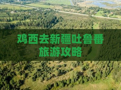 鸡西去新疆吐鲁番门票