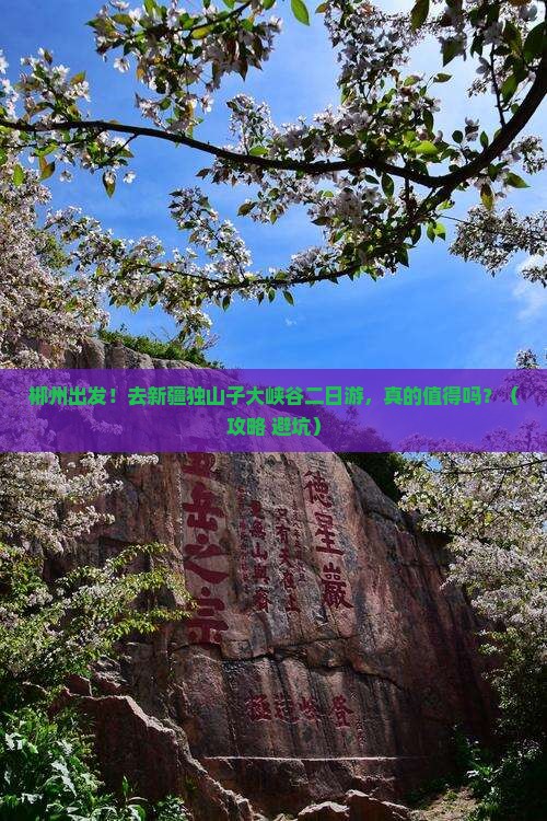郴州去新疆独山子大峡谷二日游